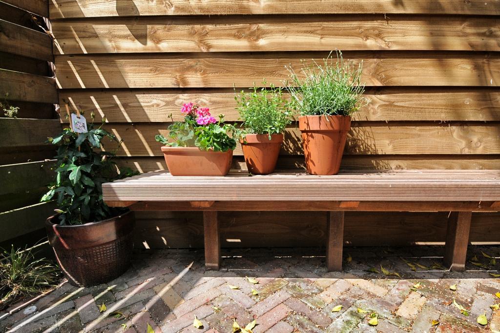 B&B De Klinkende Munt Utrecht Phòng bức ảnh